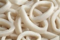 Fresh raw squid rings Royalty Free Stock Photo