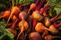 Heap of fresh ripe beet roots