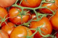 Heap of fresh ripe red tomatoes without branches close up.