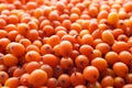 Heap of fresh ripe sea buckthorn berries as background, closeup