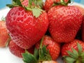 Heap of fresh ripe strawberry fruit with green sepal