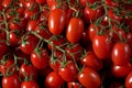 Heap of fresh shiny red cherry tomatoes with green vines