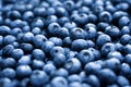 Heap of fresh sweet blueberry berries closeup