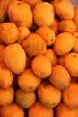 A heap of fresh Mangoes Royalty Free Stock Photo