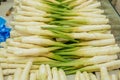 Heap of fresh water bamboo shoots