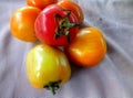 A heap of freshly harvested tomatoes from the garden