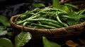 Heap of freshly picked green beans. Harvesting, autumn