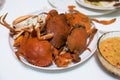 Heap of freshly steamed crabs ready to eat