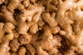 Heap of ginger root. Close-up ginger texture Royalty Free Stock Photo