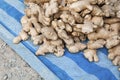 Heap of Ginger on sale in Thailand.
