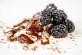 Heap of glowy blackberry with dissolved chocolate and spilled cream on dirty white Royalty Free Stock Photo