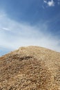 Heap of grains of oats against the blue sky