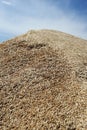 Heap of grains of oats against the blue sky