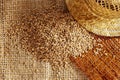 Heap of grains of spelt Royalty Free Stock Photo