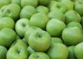 Heap green apples. Fall harvest selective focus Royalty Free Stock Photo