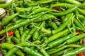 Heap of green Cayenne pepper (Capsicum annuum) Royalty Free Stock Photo