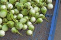 Heap of Green Eggplant on sale in Thailand.