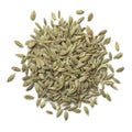 Heap of green fennel seeds Royalty Free Stock Photo