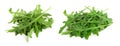 Heap of Green fresh rucola or arugula leaf isolated on white background Royalty Free Stock Photo