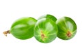 Heap of green ripe gooseberry isolated on white background. Top view. File contains clipping path. Full depth of field Royalty Free Stock Photo