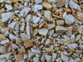 Heap of grey dry round stones background, top view. Royalty Free Stock Photo