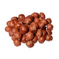 Heap of hazelnuts isolated on white background. Royalty Free Stock Photo