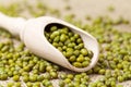 Heap of healthy mung beans vegetarian super foods Royalty Free Stock Photo