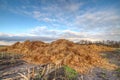 Heap of horse manure on a field Royalty Free Stock Photo