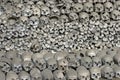Heap of human bones. Royalty Free Stock Photo