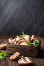 Heap of immunity boosting fresh Shiitake mushrooms in a bowl with copy space Royalty Free Stock Photo