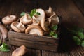 Heap of immunity boosting fresh Shiitake mushrooms in a bowl Royalty Free Stock Photo