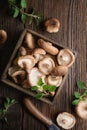 Heap of immunity boosting fresh Shiitake mushrooms in a bowl Royalty Free Stock Photo