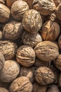 Heap of inshell walnuts Royalty Free Stock Photo