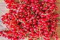 Heap of juicy red currant. Top view, close up