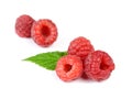 Heap of Juicy Red Ripe Raspberry with Green Leaves Royalty Free Stock Photo