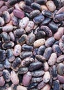 A heap of kidney beans