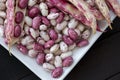 Heap of kidney red speckled beans Royalty Free Stock Photo