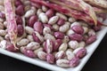 Heap of kidney red speckled beans Royalty Free Stock Photo