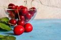 A heap and a large glass bowl of fresh red ripe cherries and green leaves of a cherry tree Royalty Free Stock Photo