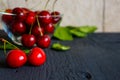 A heap and a large glass bowl of fresh red ripe cherries and green leaves of a cherry Royalty Free Stock Photo