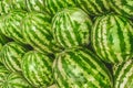 Heap of large green watermelons on the background market, close-up Royalty Free Stock Photo