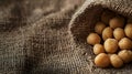 Heap of lightly salted macadamia nuts spilling from a burlap sack with soft diffused lighting Royalty Free Stock Photo