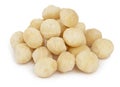 Heap of macadamia nuts