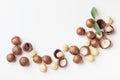 Heap of macadamia nuts on white table top view. Royalty Free Stock Photo