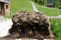 A heap of manure in front of a Alp farm in Switzerland, ready to be distributed as a natural fertilizer