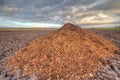 Heap of manure mixed with sawdust and woodchips Royalty Free Stock Photo