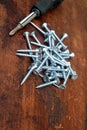Heap of many light gray screws and old screw driver on brown wooden background close up view Royalty Free Stock Photo