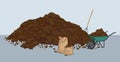 Heap of muck - manure Royalty Free Stock Photo