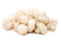 Heap of of mushroom champignon Royalty Free Stock Photo