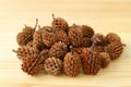Heap of natural dry mini pine cones on the wooden background